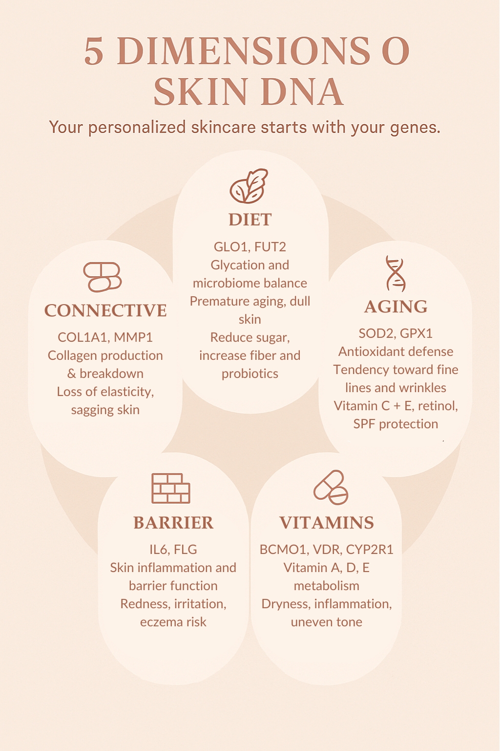 Infographic titled '5 Dimensions of Skin DNA' visualizing diet, aging, vitamins, skin barrier, and connective tissue with icons and gene-based skincare recommendations